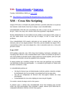 XSS-Ataque-Luiz Vieira.pdf